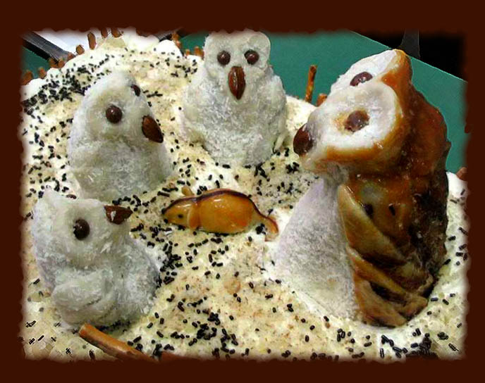 owl cake tanja sova